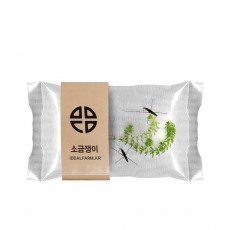 소금쟁이 관찰 자연과학 초등교과 수서곤충