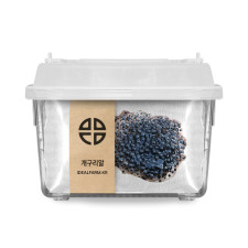 개구리 한살이 관찰 학습용 토종 개구리 알 관찰 키트