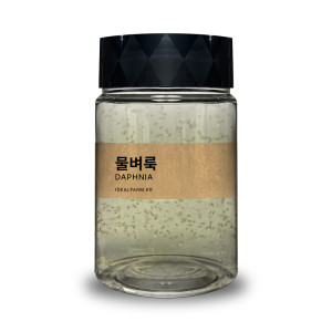 초등학교 실험 관찰생물 물속에서 톡톡 튀는 물벼룩 300ml