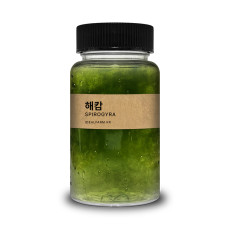 초등학교 실험 관찰생물 녹조류 해캄 100ml