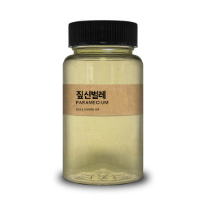 초등학교 실험 관찰생물 짚신벌레 100ml